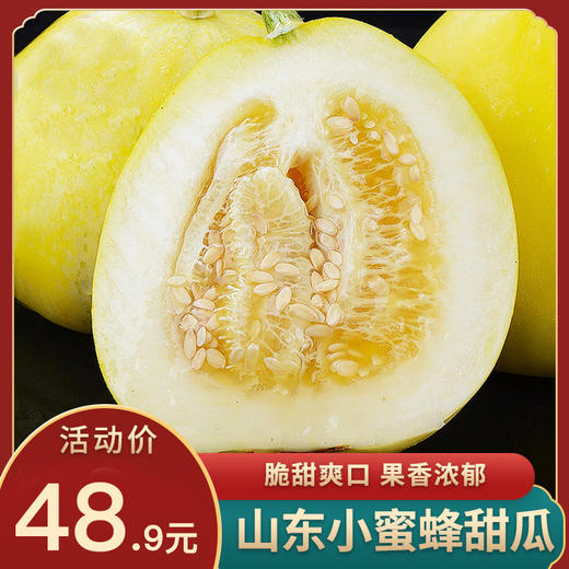 【灌蜜20+】山东新鲜蜜瓜小蜜蜂香瓜蜜罐时令小甜瓜脆瓜孕妇水果 商品图0