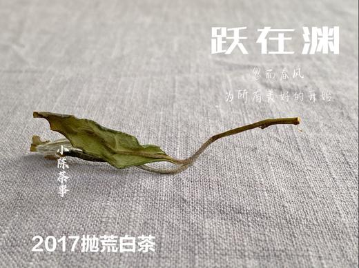 8年陈抛荒白茶，2017抛荒春白茶来了，它的野，不如荒野，却远超荒野 商品图6