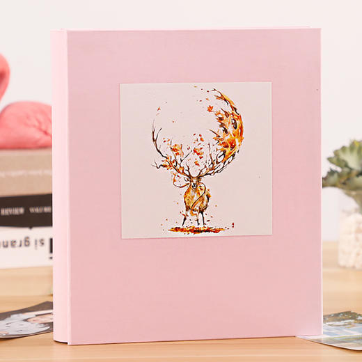 德源布面烫画 6寸插页式200张影集 商品图3