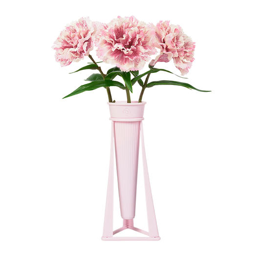 花点新思DIY美的初发现手工制作儿童拼装花卉 商品图4