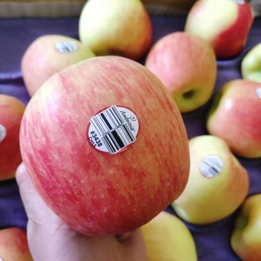 【智利神仙果】～被誉为"南半球醉好吃苹果".