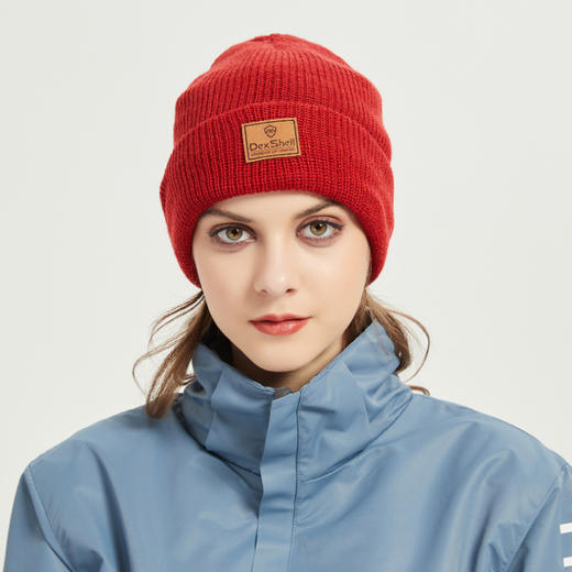 戴适watchbeanie英国porelle03防风防水羊毛针织冷帽dh322