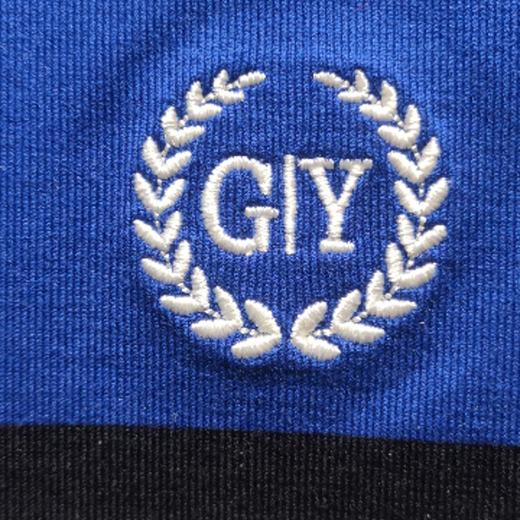 南4GY金利来男士休闲T恤 商品图2