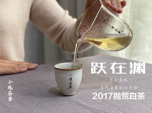 8年陈抛荒白茶，2017抛荒春白茶来了，它的野，不如荒野，却远超荒野 商品图8