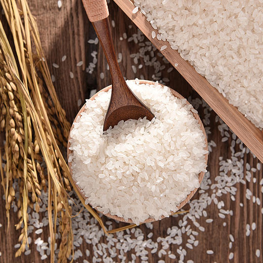 自家限量大米-粗加工更营养 商品图0