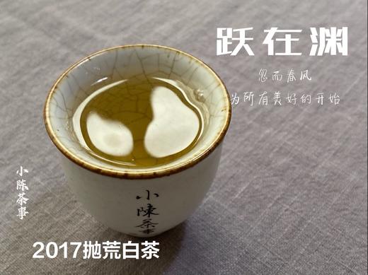 8年陈抛荒白茶，2017抛荒春白茶来了，它的野，不如荒野，却远超荒野 商品图9
