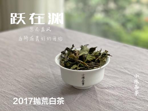 8年陈抛荒白茶，2017抛荒春白茶来了，它的野，不如荒野，却远超荒野 商品图3