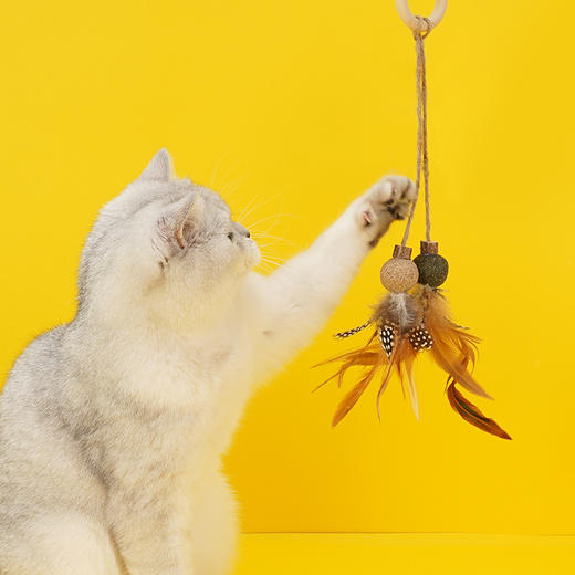 zeze木天蓼猫咪玩具-B （包邮） 商品图1