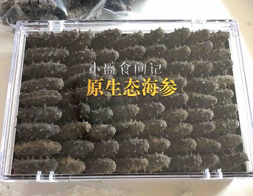 深海野生海参（9年老参龄）不加料纯货 高泡发率一斤60-80头左右 商品图6