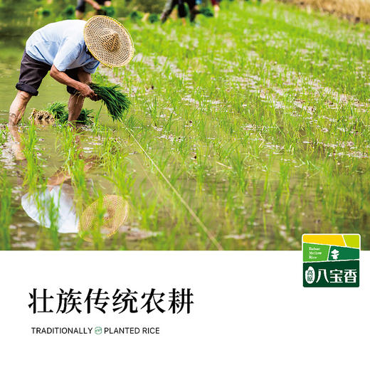 文山广南  高原八宝香.润香米 多种规格 商品图2