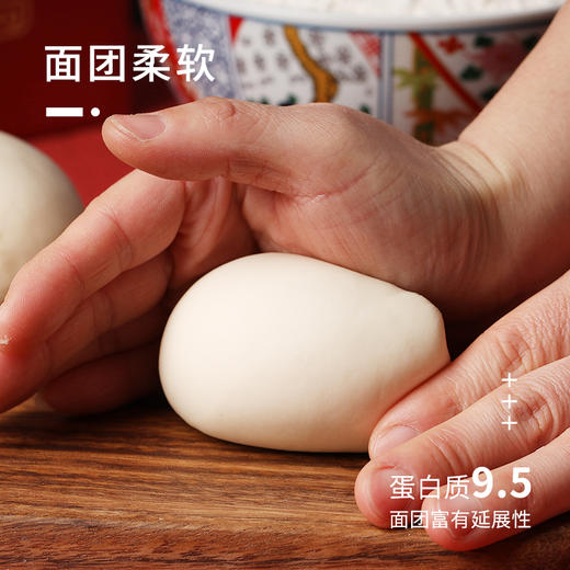 新良·大师系列中式糕点粉·1.0kg 商品图3