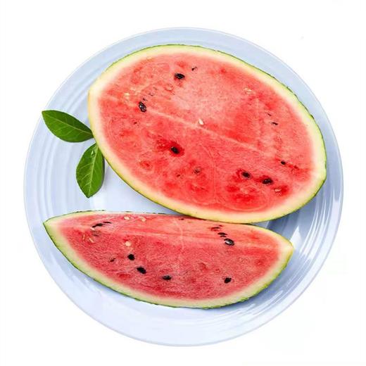 精品麒麟西瓜称重 商品图0