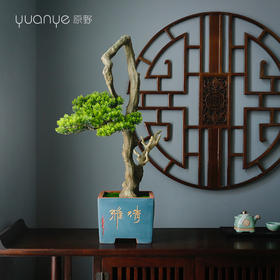 新中式禅意仿真迎客松树枝盆景酒店会所茶几客厅玄关装饰摆件