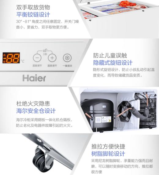 海尔（Haier）冷柜 BC/BD-719HEZ 商品图2