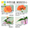 花点新思DIY美的初发现手工制作儿童拼装花卉 商品缩略图3
