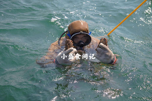 深海野生海参（9年老参龄）不加料纯货 高泡发率一斤60-80头左右 商品图10