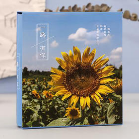 德源6寸200张插袋相册