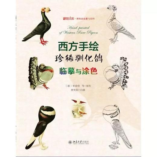 《西方手绘珍稀驯化鸽：临摹与涂色》定价：98元 商品图0