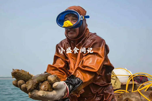 深海野生海参（9年老参龄）不加料纯货 高泡发率一斤60-80头左右 商品图11