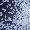 溢田东北大米珍珠米圆粒米5kg【厂家直供】 商品缩略图3