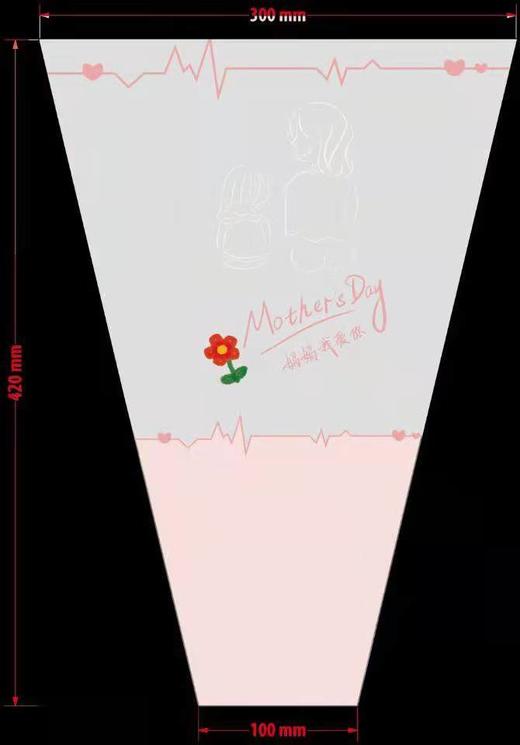 母亲节--小红花多支袋 商品图1