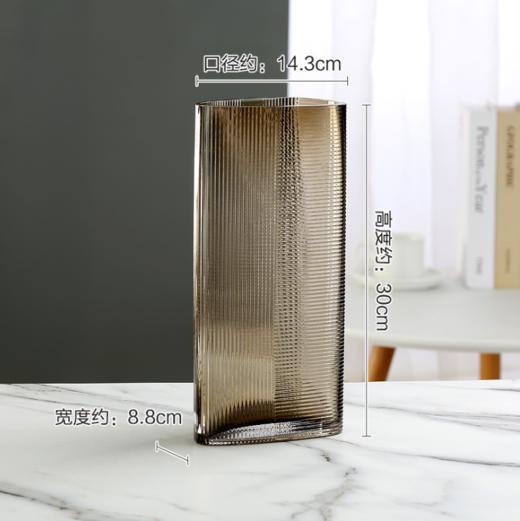 新品创意欧式轻奢玻璃花瓶--1204 商品图6