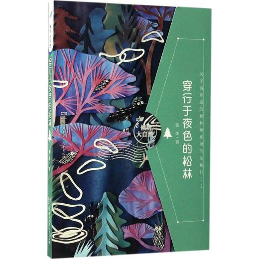 穿行于夜色的松林 商品图0