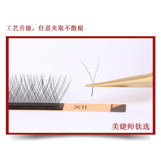 索芙娜 2D玛奇朵二叶草嫁接睫毛C翘0.03粗度 商品图2