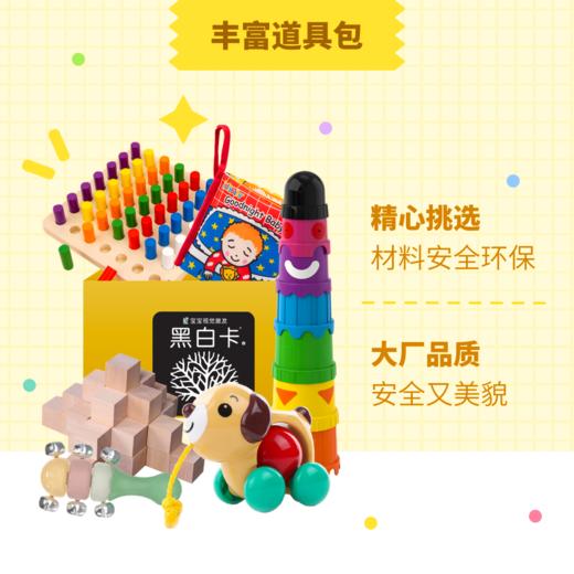 《黄金1000天》抓住大脑发育关键期 商品图3