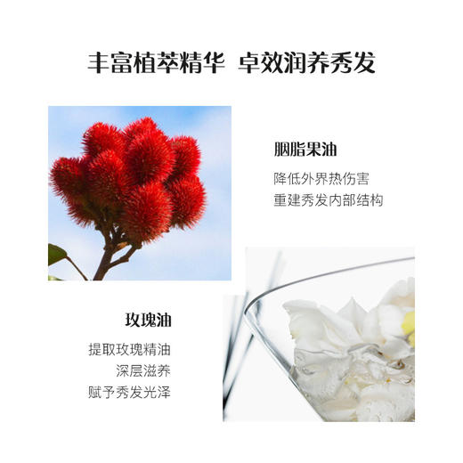 大卫尼斯欧艾洗发水280ML 商品图2