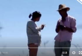  “另一个'拉姆'”自述遭遇家暴，丈夫回应 
