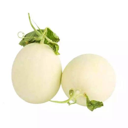 【预售】崇明东滩玉菇甜瓜3-4只/箱（约5kg/箱）根据订单顺序陆续发货 商品图4