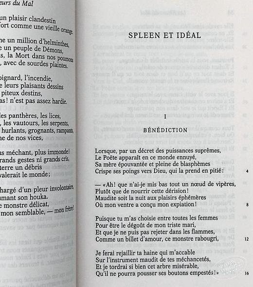 预售 【中商原版】恶之花（法文版） 法文原版 外国诗歌 Les Fleurs du Mal  波德莱尔 商品图7