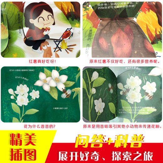 你问我答翻翻书 低幼版 揭秘植物 3-6岁 幼儿植物百科大全书少儿益智早教启蒙绘本动物大探秘探索 商品图2
