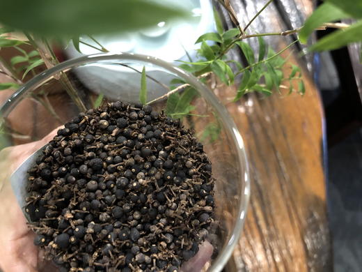 天马社德陈皮【惊蛰·花胎】 250克罐装 商品图0