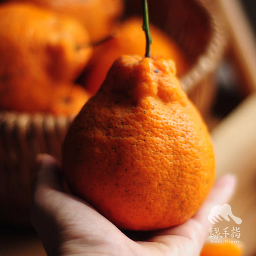 生态蒲江耙耙柑（4月3日下架） | 合作生产 *Eco-harrow orange | Coproduction 商品图0
