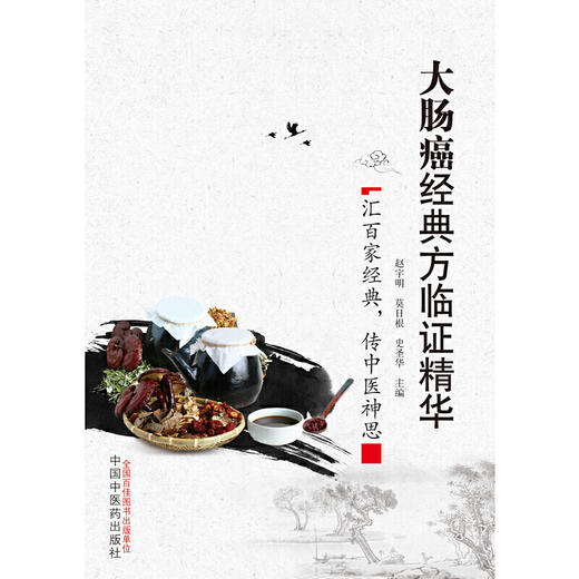 大肠癌经典方临证精华 商品图1