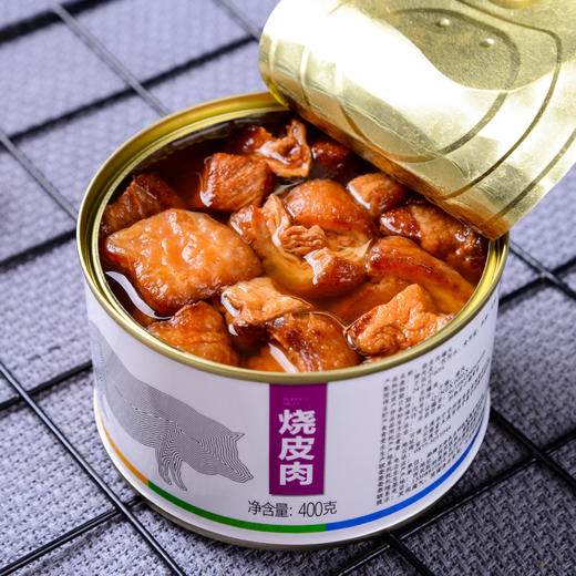中国船舶专享冬瓜猪烧皮肉罐头400g听