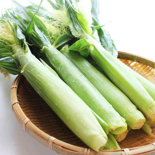 新鲜玉米笋 鲜嫩脆口 广东广西发货 商品图2