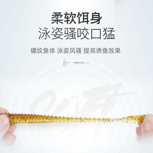 路亚t尾软虫软饵 鱼饵 商品图2