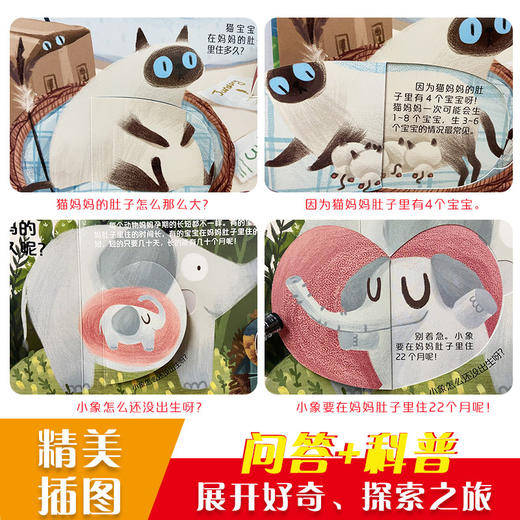 【3-6岁】你问我答翻翻书 低幼版 揭秘生命 立体书少儿科普 商品图1