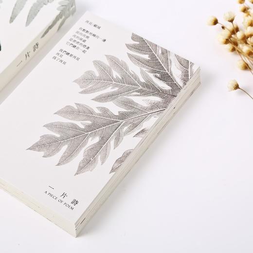 信的恋人明信片一片诗D2193 商品图3