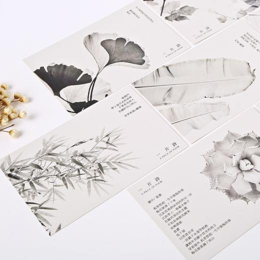 信的恋人明信片一片诗D2193 商品图1