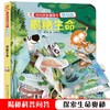 【3-6岁】你问我答翻翻书 低幼版 揭秘生命 立体书少儿科普 商品缩略图0