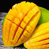 【海南金煌芒】 芒果 软嫩香甜 果汁细腻 果肉饱满 4.5斤装/8斤装 商品缩略图0