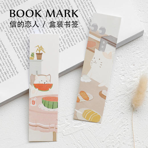 信的恋人明信片《猫咪的一天》P-C2437 商品图0