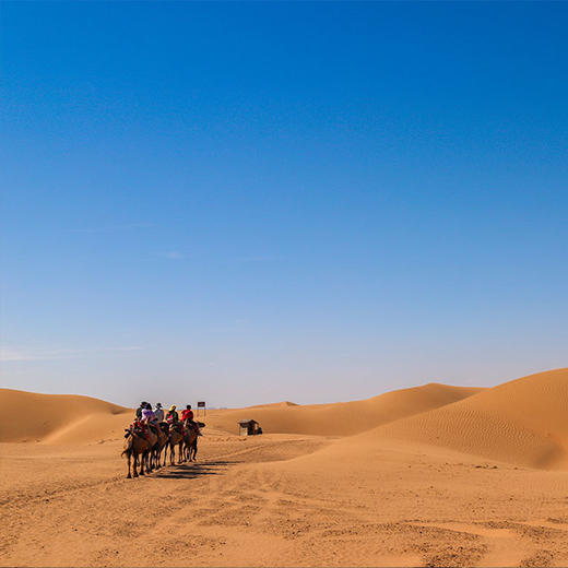 【银川】从沙漠星星酒店到黄河宿集轻奢民宿，探寻宝藏宁夏 商品图4