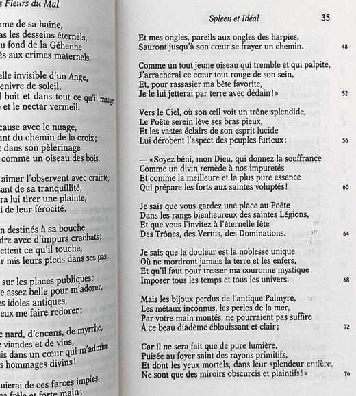 预售 【中商原版】恶之花（法文版） 法文原版 外国诗歌 Les Fleurs du Mal  波德莱尔 商品图4