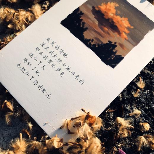 信的恋人盒装书签 商品图5