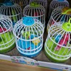 趣味鸟笼 商品缩略图0